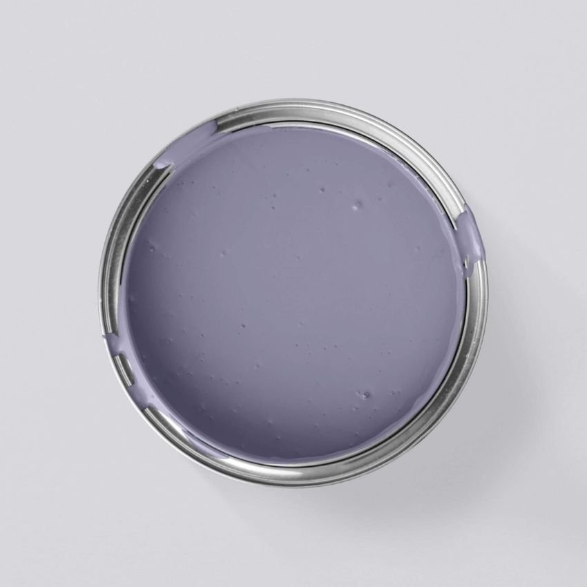 Lila Mit Provence